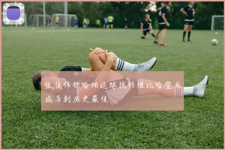 张佳伟称哈珀运球技巧堪比哈登或成马刺历史最佳