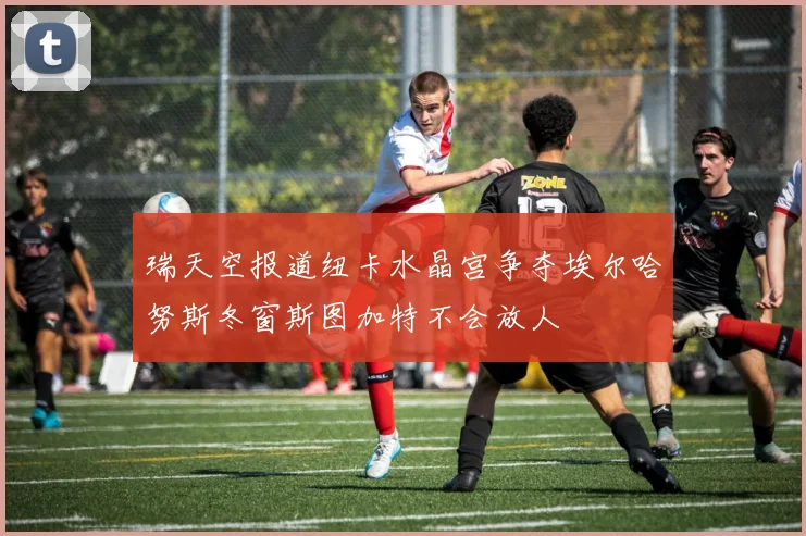 瑞天空报道纽卡水晶宫争夺埃尔哈努斯冬窗斯图加特不会放人