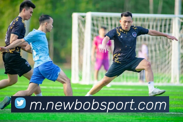 BOB体育平台生态图